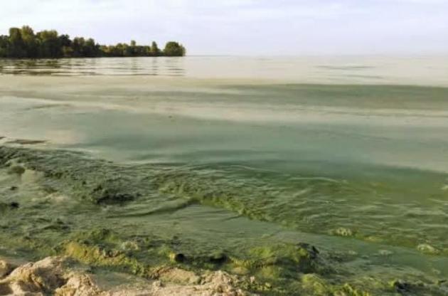 Глобальное потепление сделало озера более токсичными