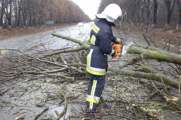 Киевлян предупреждают о сильном ветре и просят не парковаться под деревьями