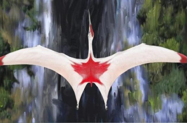 Розмах крил динозавра досягав 10-11 метрів