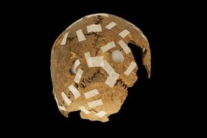 Ученые узнали, зачем инки отрубали головы и изувечивали черепа