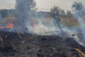 В результате пожаров сухостоя на Киевщине погиб человек