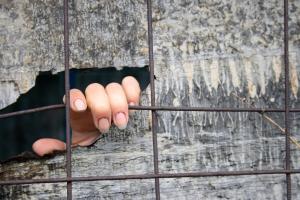 Як людина втратила свою свободу