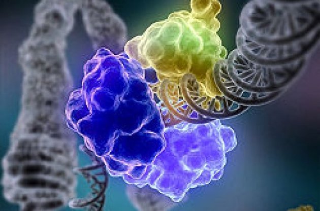 ЮНІСЕФ та Європейський інститут біоінформатики закодують Конвенцію про права дитини на синтетичній ДНК