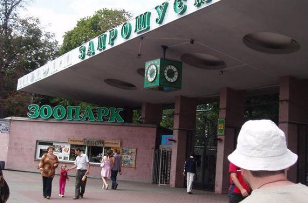 Киевский зоопарк отдал зубра Муската в парк Залесье