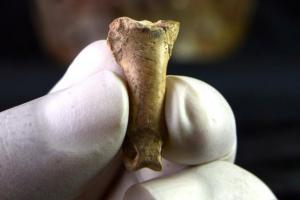 Археологи виявили виготовлений неандертальцями амулет з кігтя орла