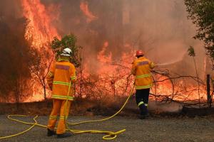 В одном из штатов Австралии из-за пожаров введен режим чрезвычайной ситуации