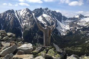 Украинские альпинисты погибли во время спуска с горы в Словакии