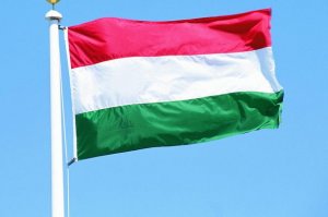 Нацсобрание Венгрии не обращалось к Госдуме РФ за помощью по "защите национальных меньшинств"