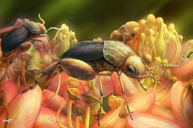 Комахи запилювали рослини ще 99 мільйонів років тому – вчені