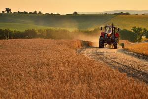 Агробизнес в Украине консолидируется – исследование