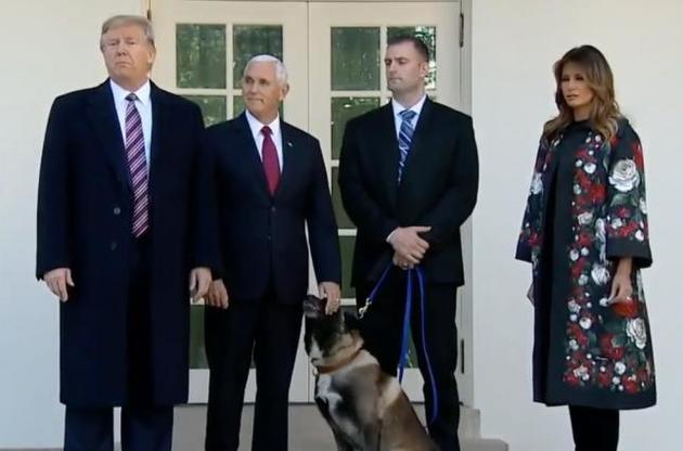 Трамп нагородив собаку, який брав участь у ліквідації ватажка ІДІЛ