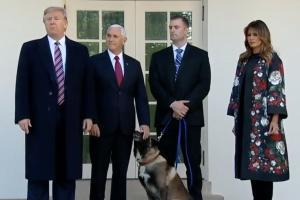 Трамп нагородив собаку, який брав участь у ліквідації ватажка ІДІЛ