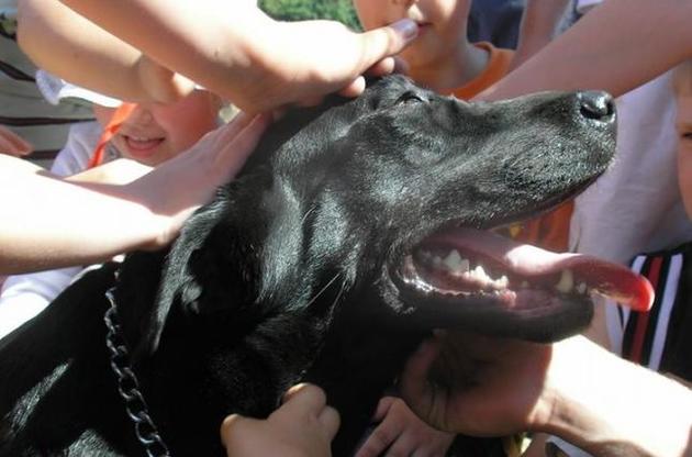 Більшу частину свого життя Марджі рятувала людей