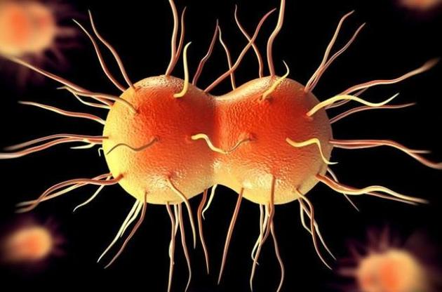 Резистентные к антибиотикам бактерии оказались опаснее, чем считали ученые