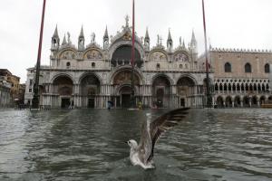 Расположенную на воде Венецию залил паводок