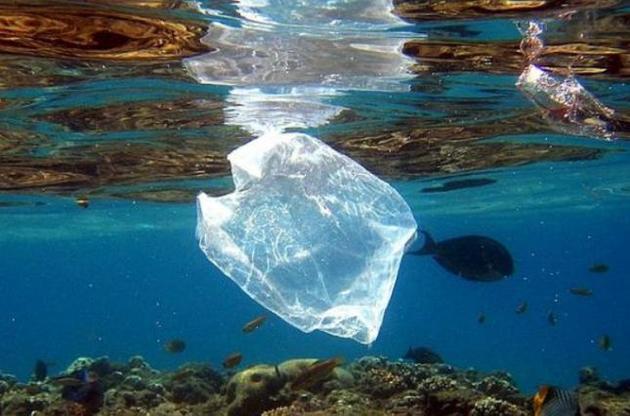 Названы основные загрязнители планеты пластиком