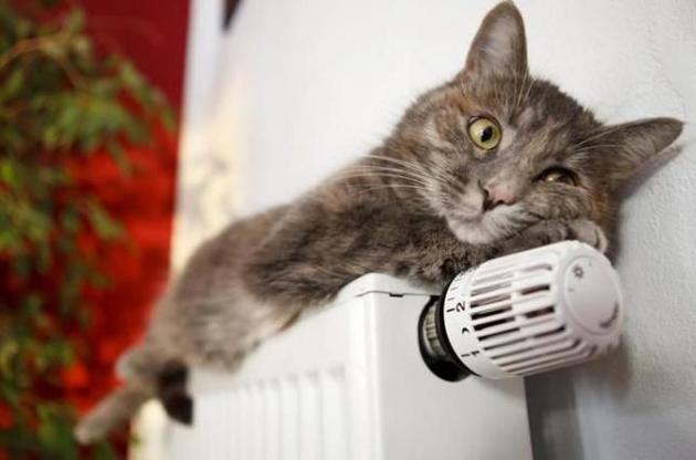 100% объектов социальной сферы отапливается в Винницкой, Житомирской и Николаевской областях