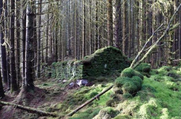Археологи раскрыли тайну загадочного сооружения в лесах Шотландии