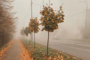 У Києві сильний туман: в мережі діляться фото