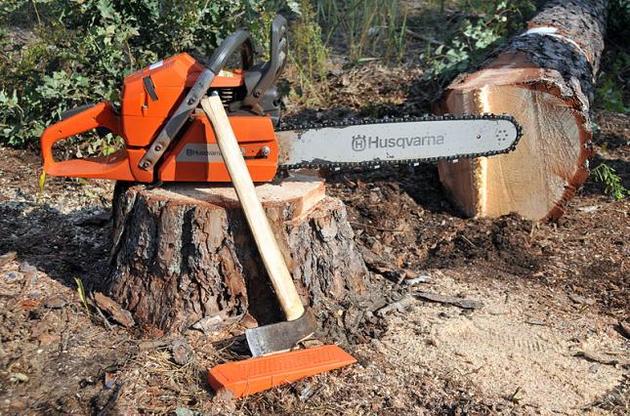 Пілотний проект планують запустити в квітні