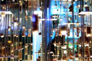 Неінтелектуальні ігри