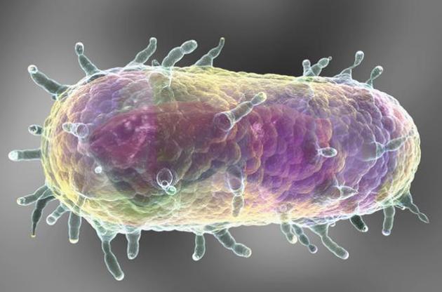 У Китаї зареєстрований третій випадок зараження чумою