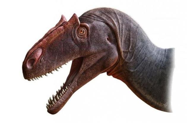 Вчені вперше описали одного з найнебезпечніших хижих динозаврів