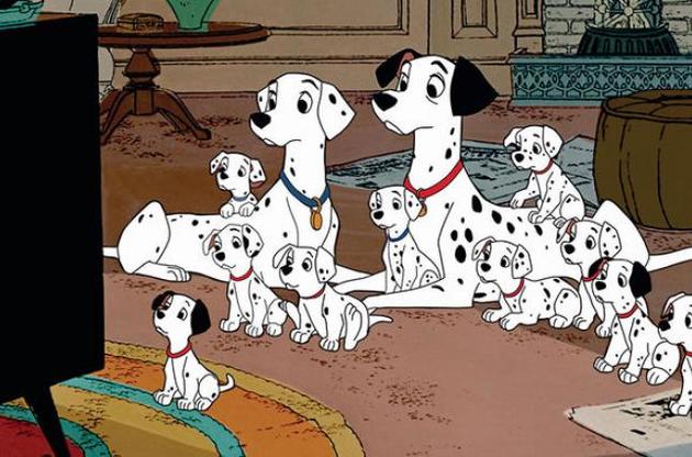 Собаки способны понимать слова даже незнакомого человека