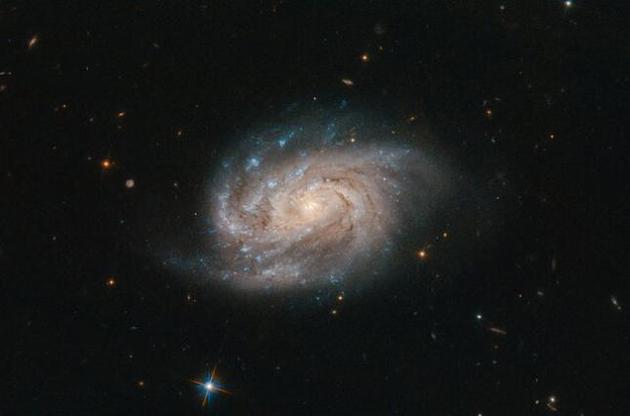 "Хаббл" зробив знімок галактики із сузір'я Живописця
