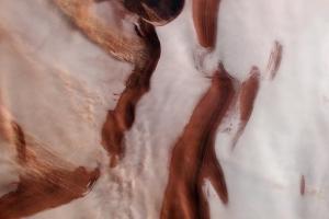 ESA показало снимок северного полюса Марса