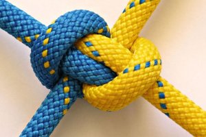 ЗЕконституція: що 