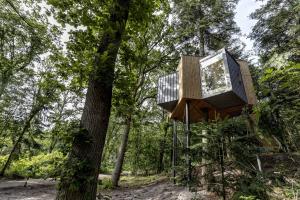 Необычный отель посреди леса открыли в Дании