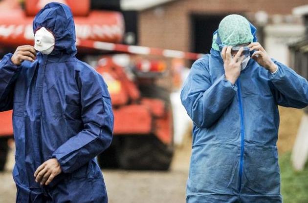 Спалах грипу знищив 98 тисяч птахів на підприємстві