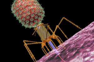 В теле человека обнаружили новый вирус