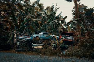 Покинуті автомобілі поглинені природою густих гавайських лісів
