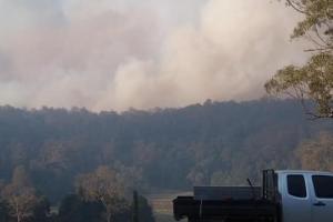 Через пожежі Сідней затягнуло димом