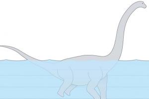 Гигантские динозавры оказались способны ходить на двух передних ногах