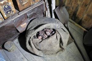 У хатині в Антарктиді знайдено 100-річний мішок цибулі