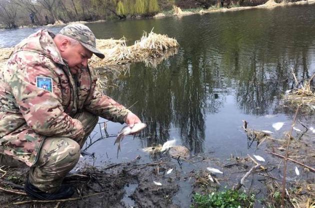 В річці Уж було виявлено 53 667 екземплярів загиблої риби.