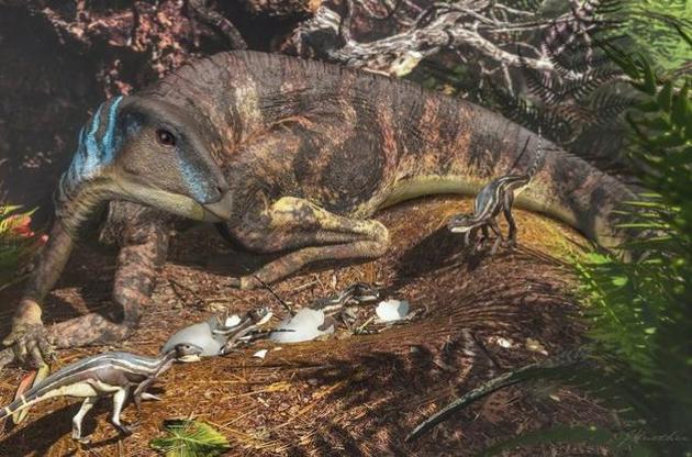 Палеонтологи нашли в Австралии детенышей динозавров