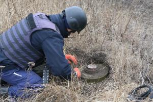 Разминирование возле Петровского: обнаружили два десятка опасных предметов