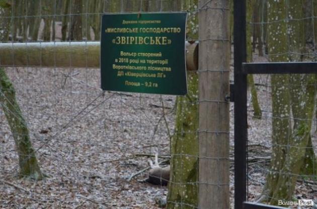 Браконьєри розстріляли приручених самок