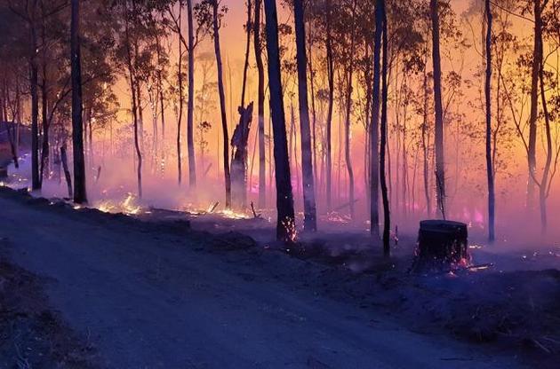 Пожары в Австралии: сигналы для украинцев