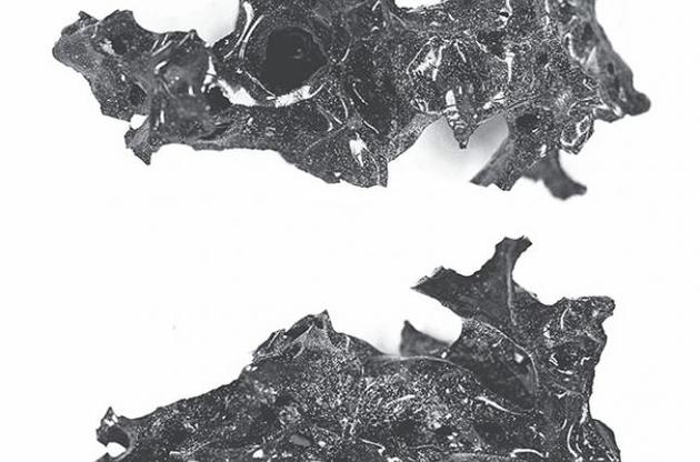 Ученые рассказали о происхождении черной стекловидной массы из останков жертвы извержения Везувия
