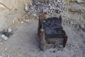 Вчені знайшли найдавнішу відому дерев'яну конструкцію