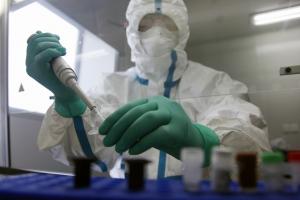 Великобритания начала испытывать вакцину от коронавируса на животных