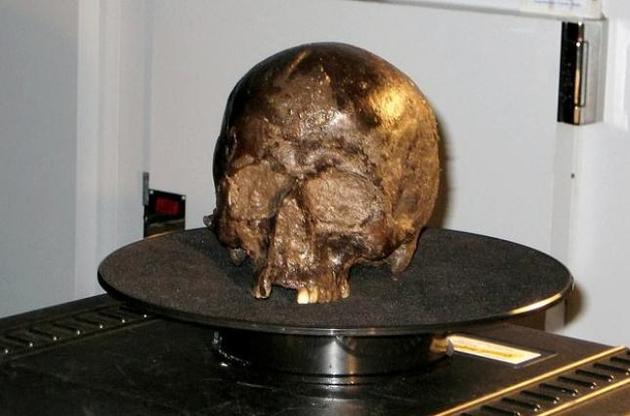 Череп із залишками мозку був знайдений у 2008 році