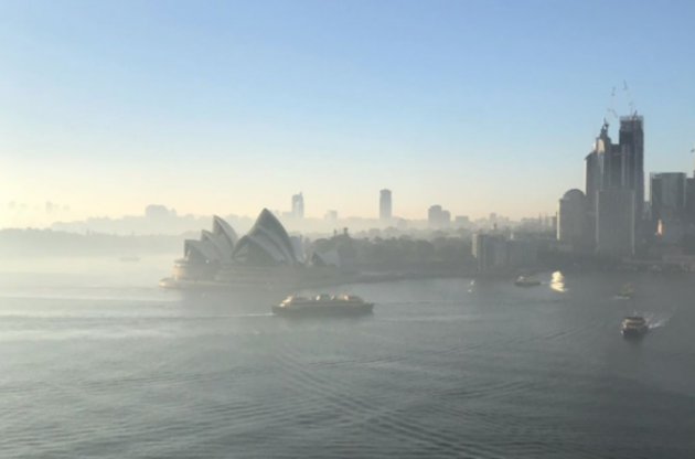 У штаті Новий Південний Вельс через зливи, кількість лісових пожеж скоротилася з 60 до 42