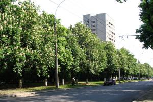Харківська міськрада знову проголосувала за перейменування проспекту Григоренка