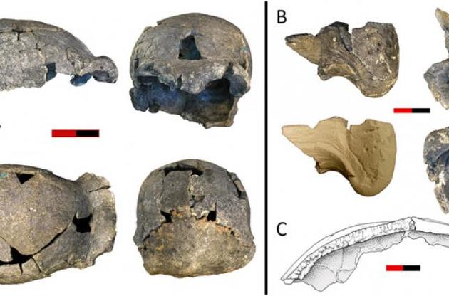 Поряд з черепами Homo erectus виявили знаряддя праці різної складності
